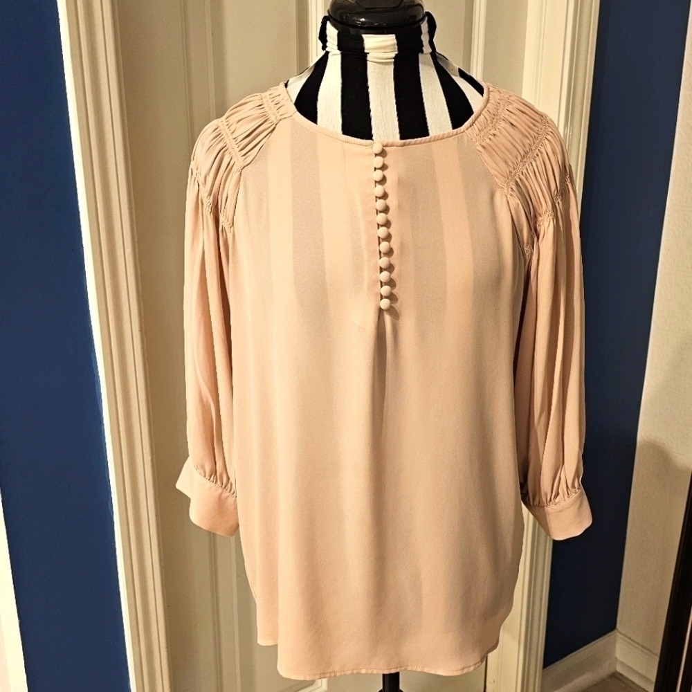 Ann Taylor Pink Crepe Blouse